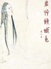无君怜倾城色封面