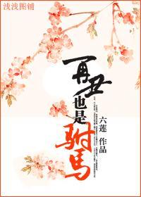 再丑也是驸马封面