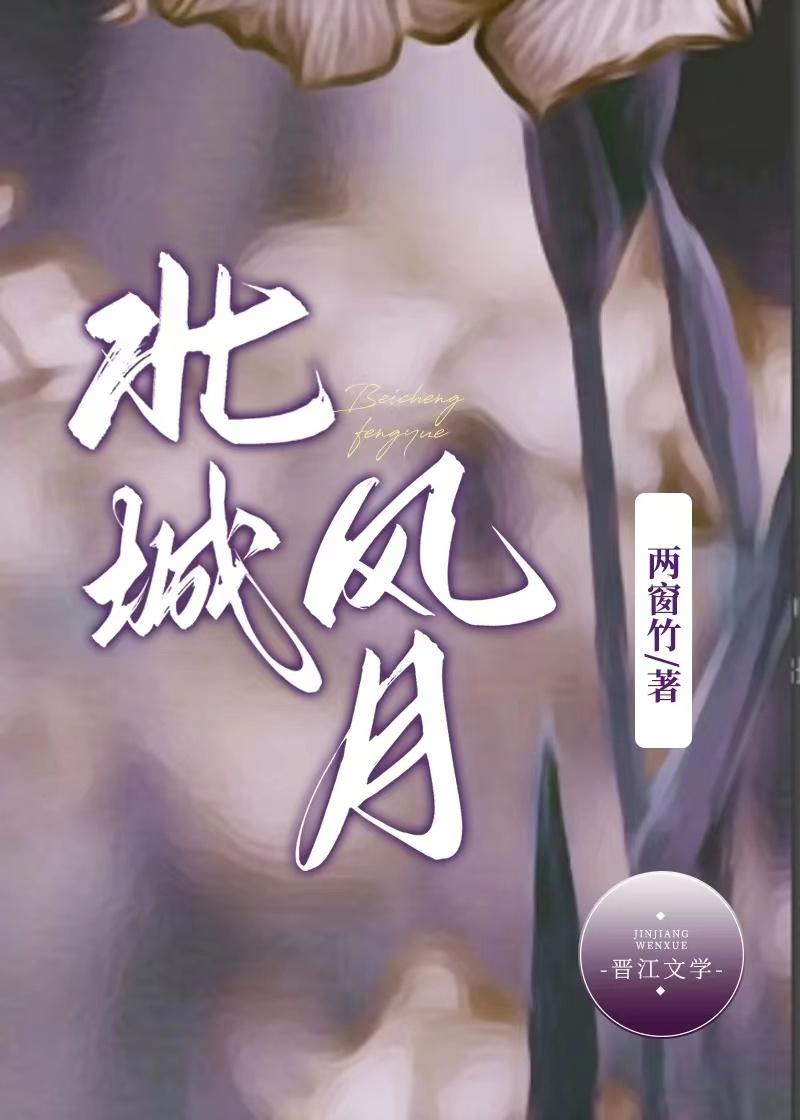 北城风月封面