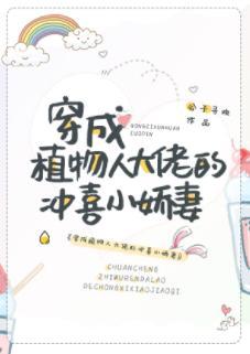 穿成植物人大佬的冲喜小娇妻封面