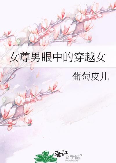女尊男眼中的穿越女封面