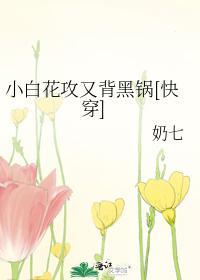 小白花攻又背黑锅[快穿]封面