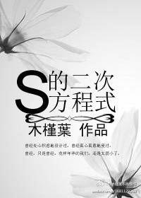 S的二次方程式封面