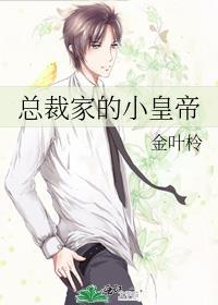 总裁家的小皇帝封面