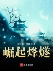 崛起1939之刘正坤封面