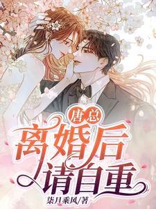 唐总，离婚后请自重封面
