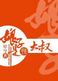 娘子是怪大叔封面