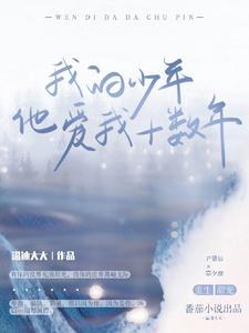 我的少年他爱我十数年封面