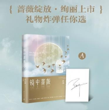 镜中蔷薇封面
