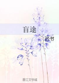 盲途封面