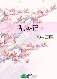 乱琴记封面