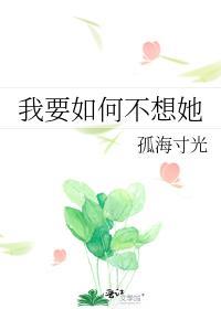 我要如何不想她封面
