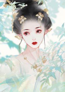 掌上月封面