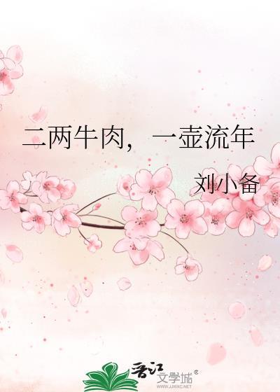 二两牛肉，一壶流年封面