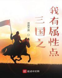 三国之我有属性点封面