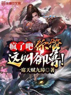 疯了吧你确定你是御兽师封面