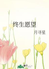 终生愿望封面