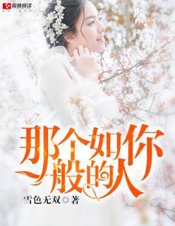 那个如你一般的人封面