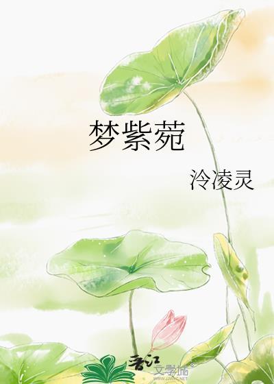 梦紫菀封面