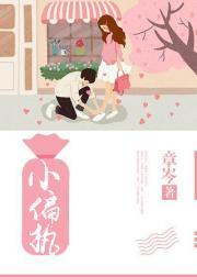 小偏执封面