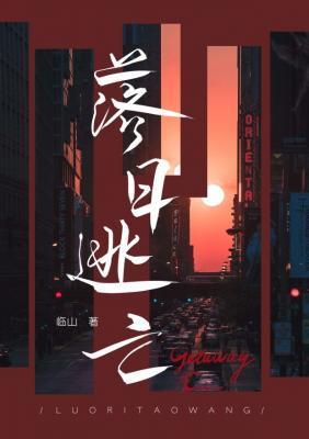 落日逃亡封面