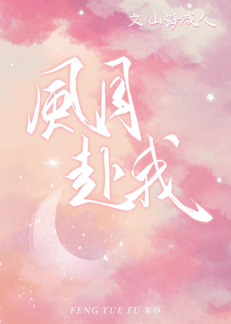 风月赴我封面