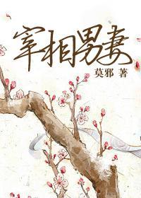 宰相男妻封面