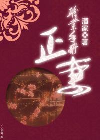 正妻职业手册封面