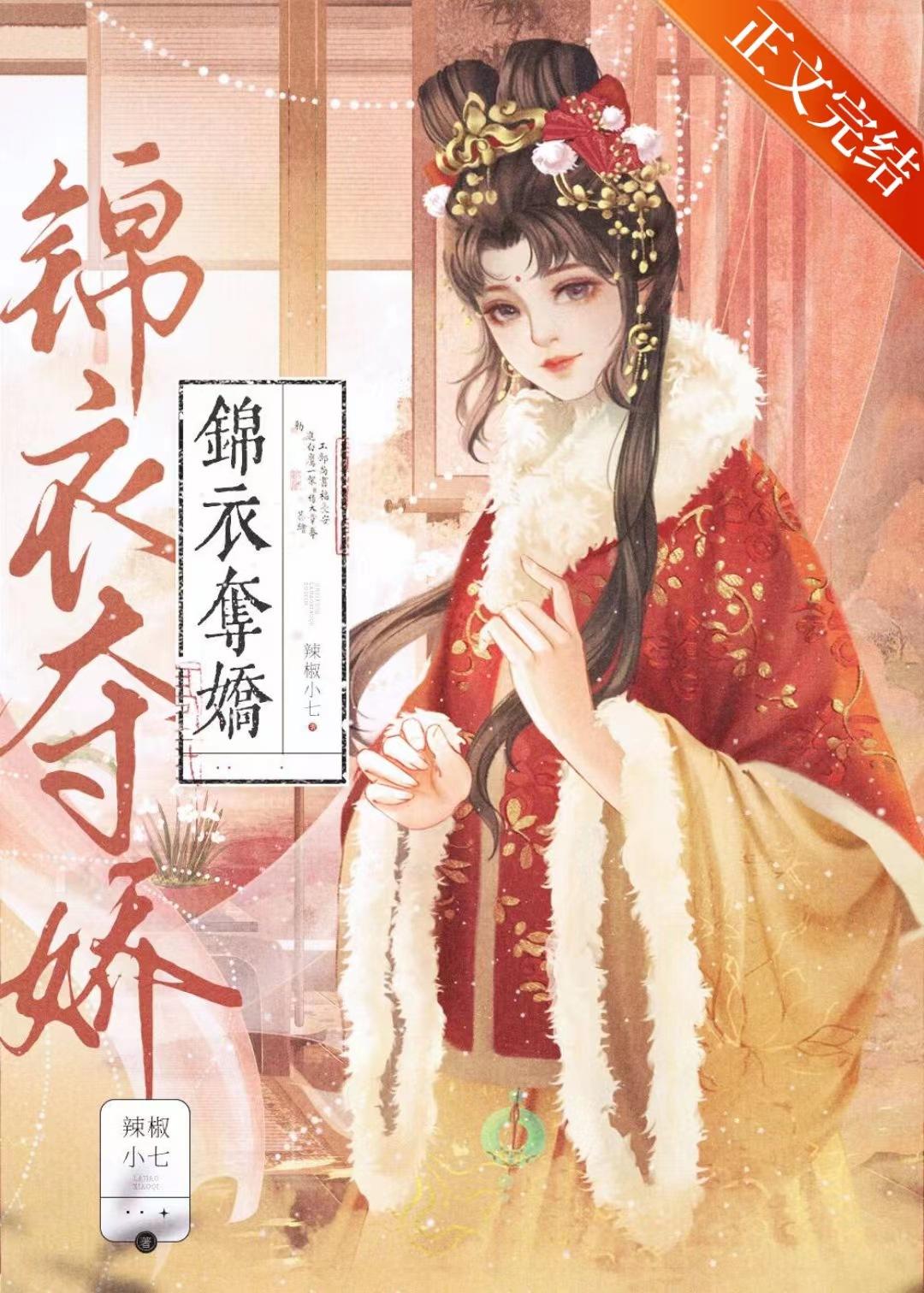 锦衣夺娇封面