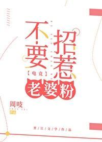不要招惹老婆粉封面