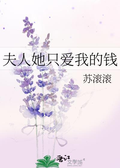 夫人她只爱我的钱封面