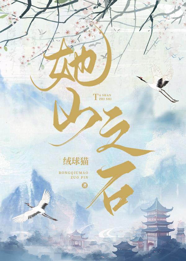 她山之石封面