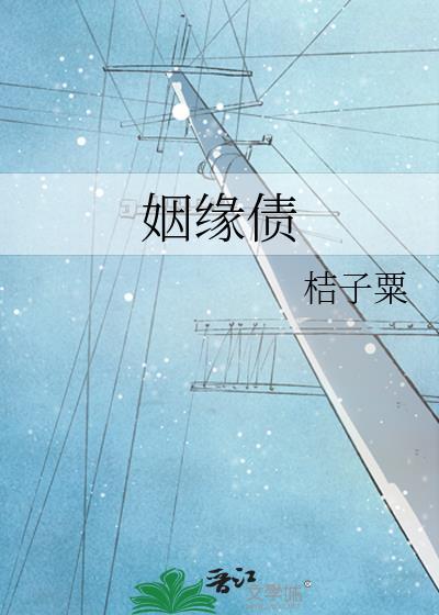 姻缘债封面