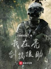 我在亮剑搞援助封面