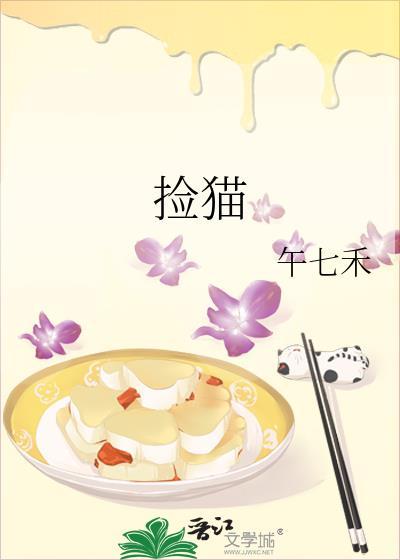 捡猫封面