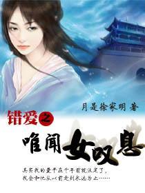 错爱之唯闻女嘆息封面