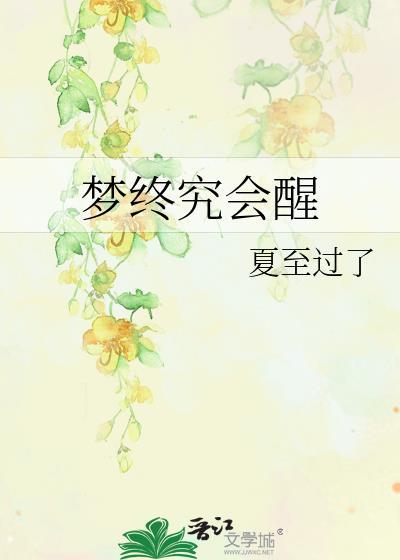 梦终究会醒封面