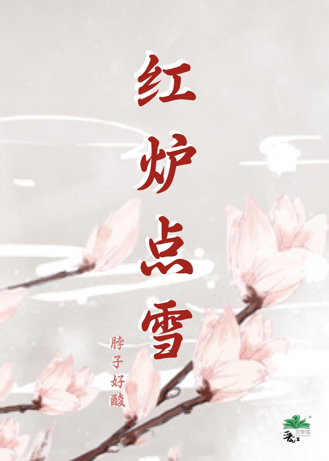 红炉点雪封面