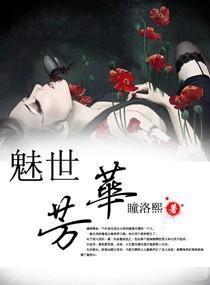 魅世芳华封面