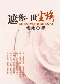 遮你一世尘埃封面