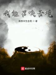我能召唤苦境封面
