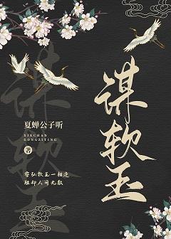 谋软玉封面
