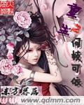 重生之何枝可依封面