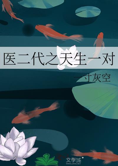 医二代之天生一对封面