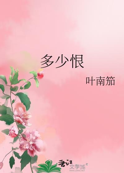 多少恨封面