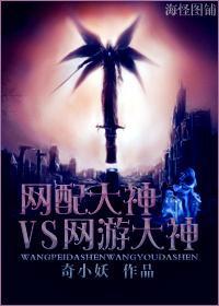 网配大神VS网游大神封面