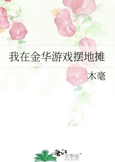 我在金华游戏摆地摊封面
