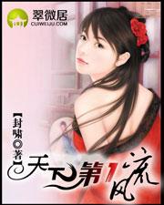 天下第一风流封面