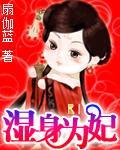 湿身为妃封面