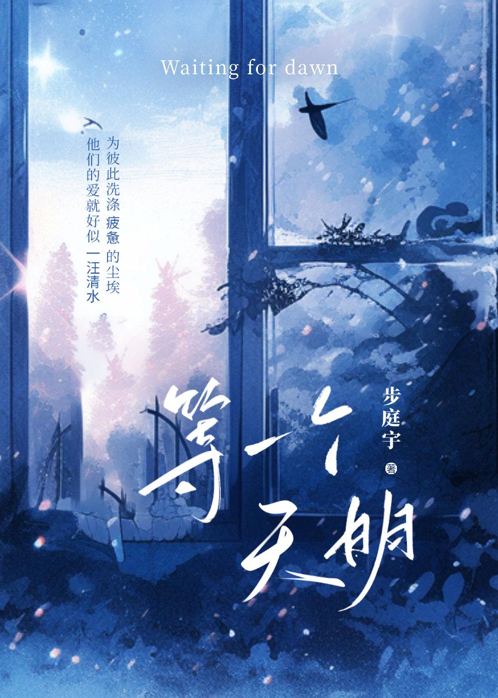 等一个天明封面